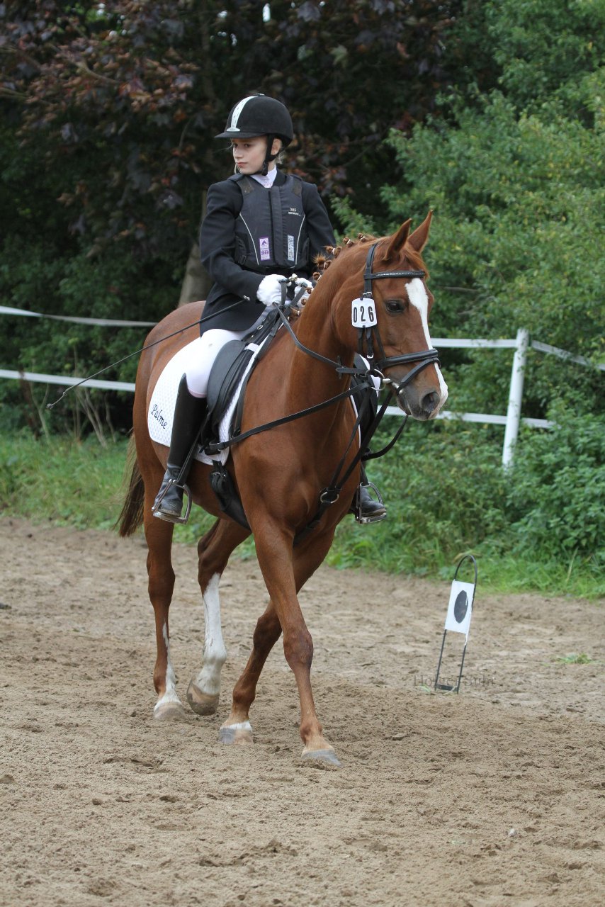 Bild 949 - WBO-Turnier am 18.9.11